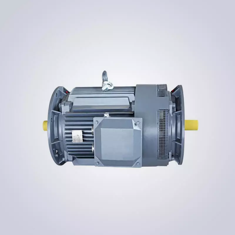 Marine Electric Motor
