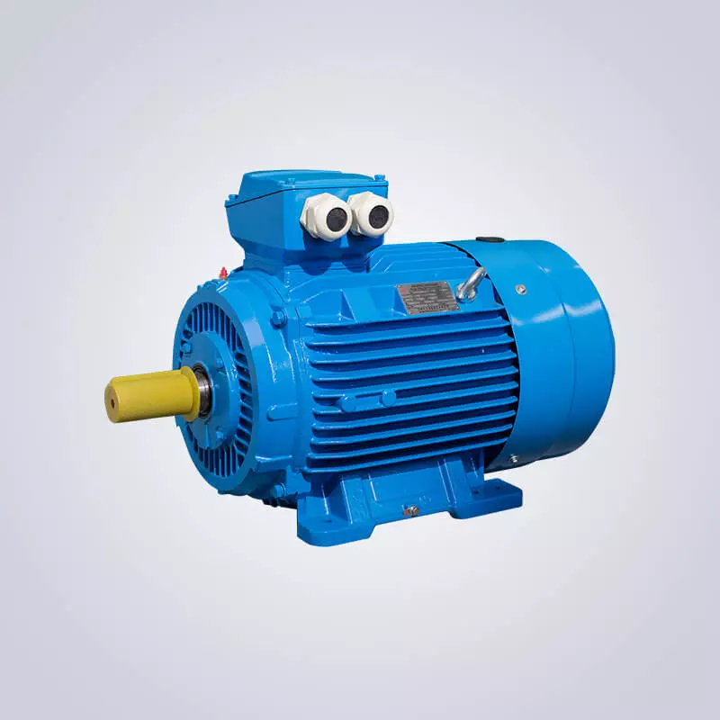 Three-Phase Asynchronous Motor