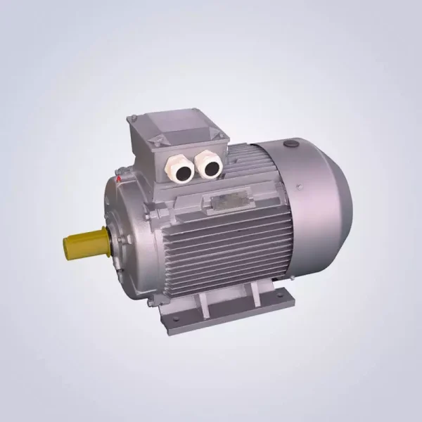 Low Voltage Motor